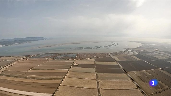 L'Informatiu - Els experts reclamen que el Delta de l'Ebre tingui personalitat jurídica