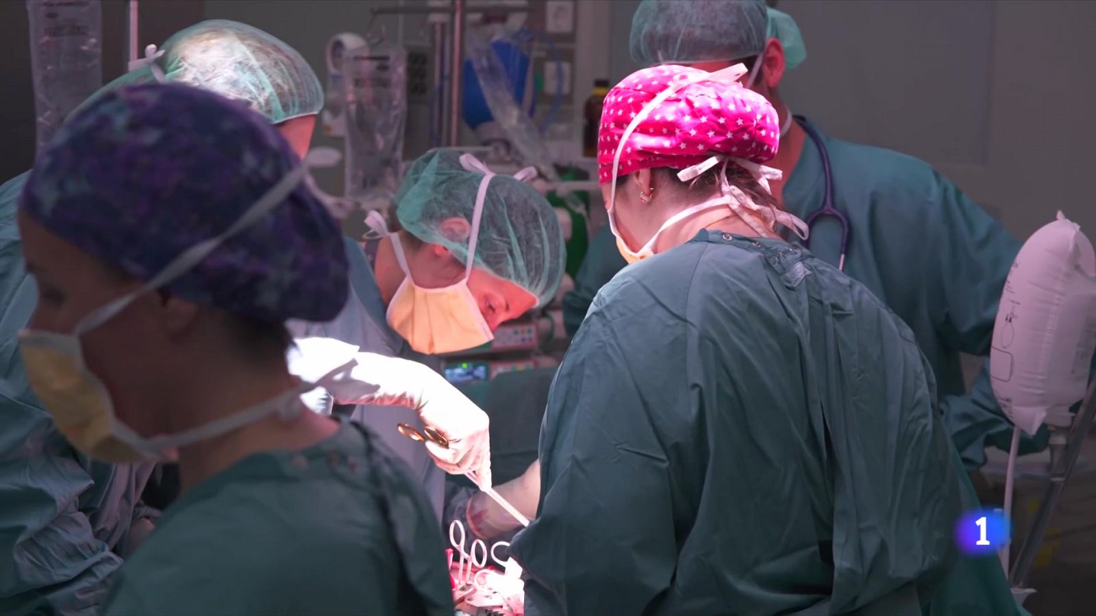 Catalunya supera la barrera dels 50 donants per milió d'habitants - L'Informatiu | Veure