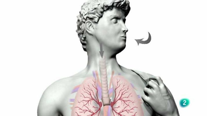 El escarabajo verde - El aire que respiras