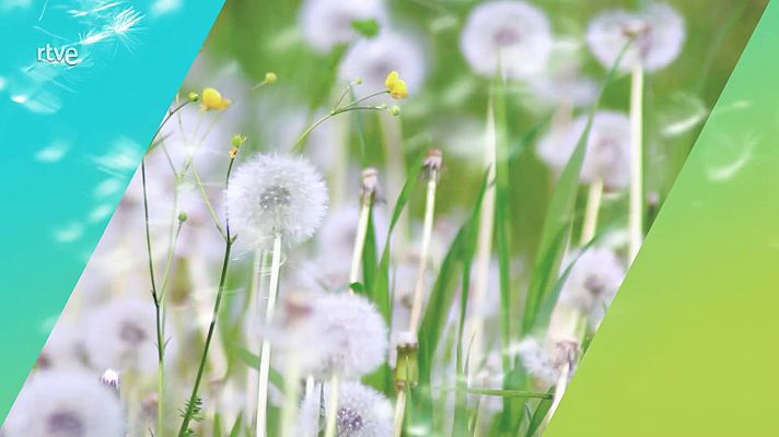 El tiempo - Tormentas localmente fuertes y ocasionalmente acompañadas de granizo en el centro peninsular. Intrusión de calima prácticamente en toda la Península y Baleares