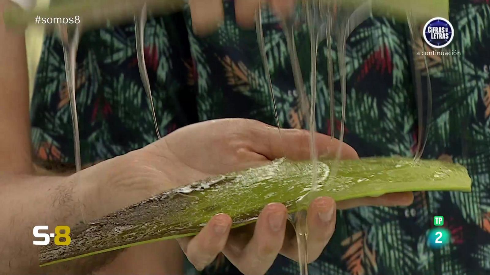 Somos 8 - 06/06/2024 - Somos 8 | Ver