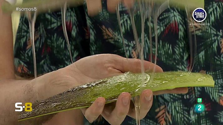 Somos 8 - Somos 8 - 06/06/2024