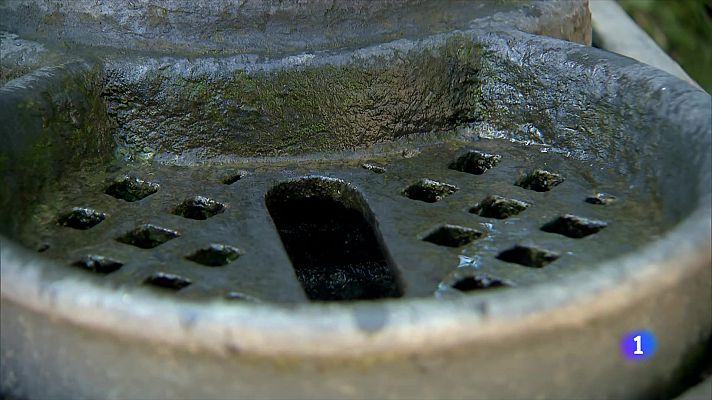 L'Informatiu - Plaga de mosquits: els embornals dels parcs, nius