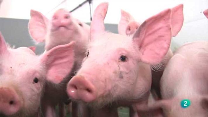 Agrosfera - Agrosfera - 15/12/12