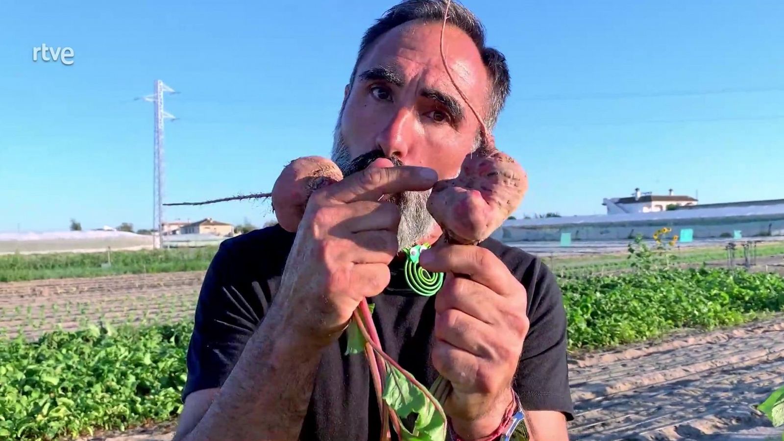 Verdures lletges – Va de Verd | RTVE Catalunya - Va de verd | Veure