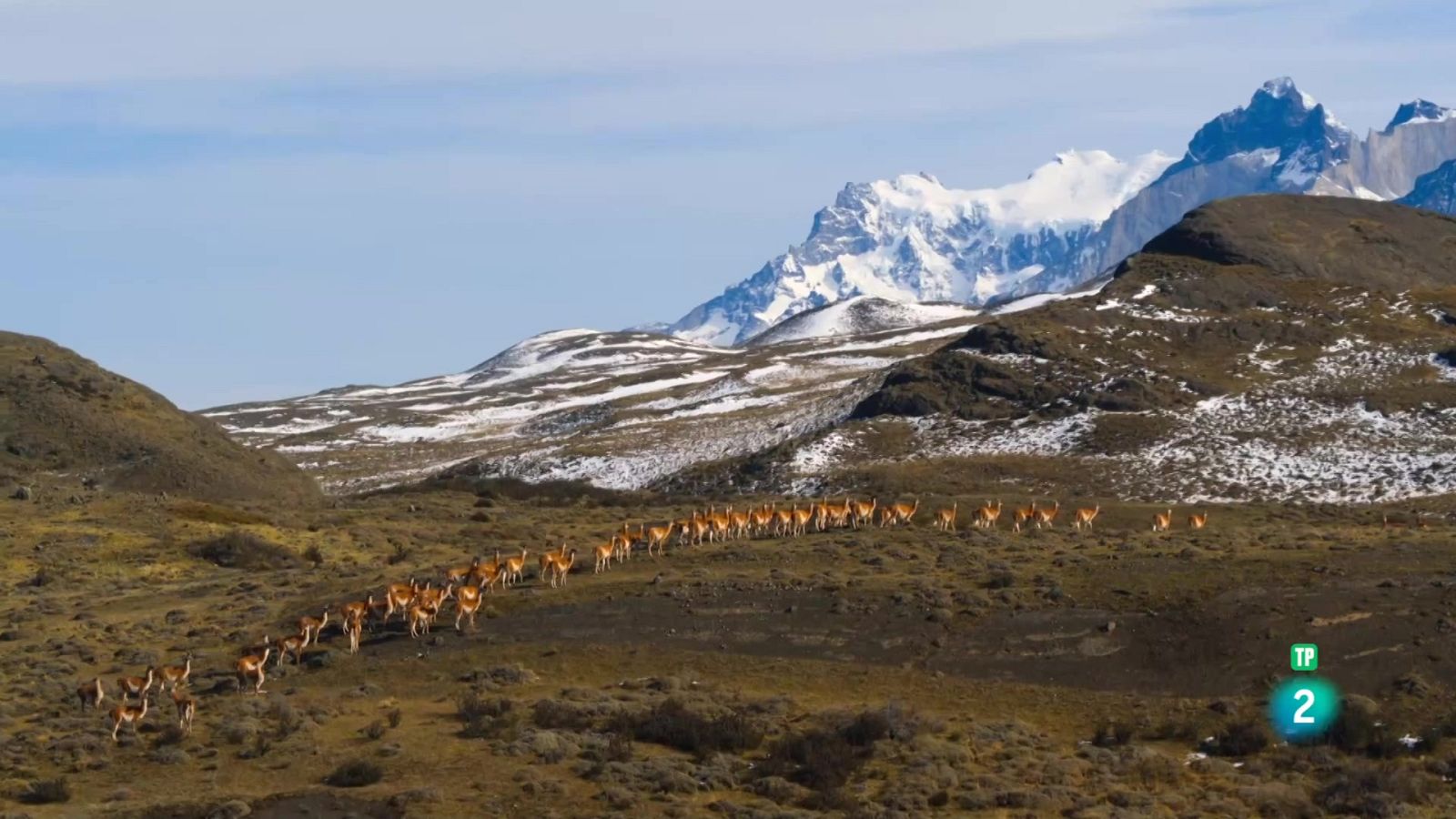 Grans Documentals - Edèn, paradisos remots: Patagònia, els confins de la Terra - Veure ara
