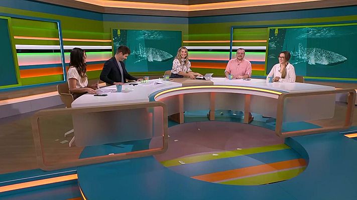 L'altaveu - Armes blanques, mares solteres, esports i enfadaments