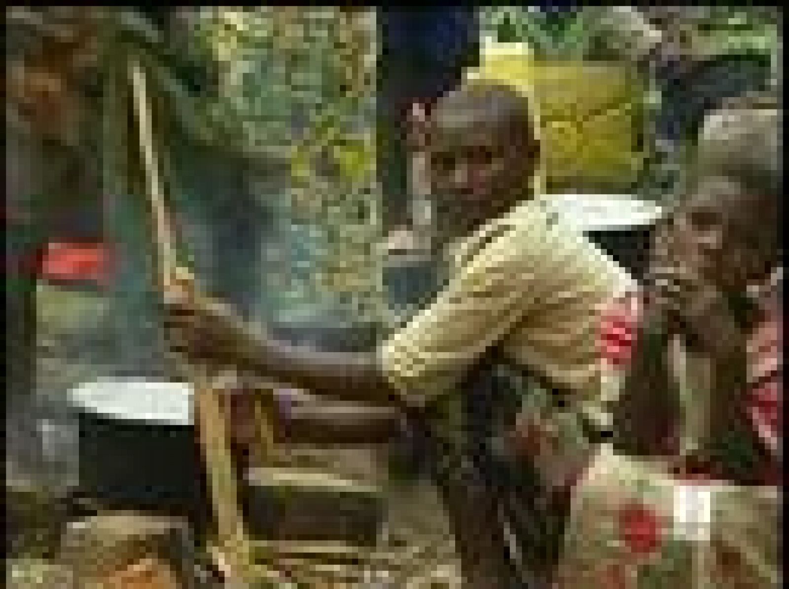 Nunca ha habido tantos refugiados en el mundo como ahora | Ver