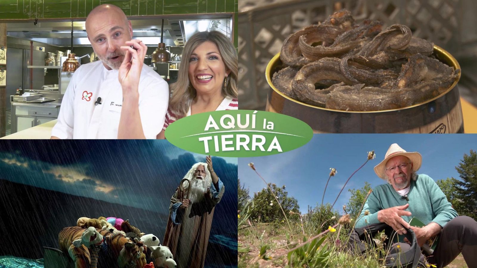 Aquí la Tierra - 10/06/24 - ver ahora