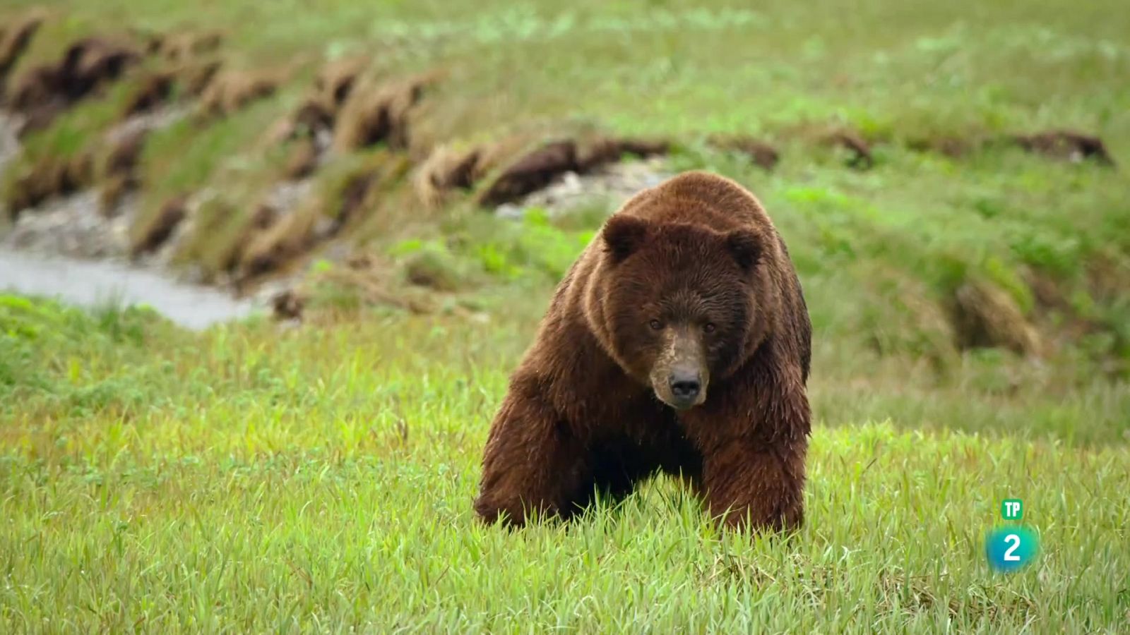 Edèn: Alaska, l'última frontera americana | Grans Documentals