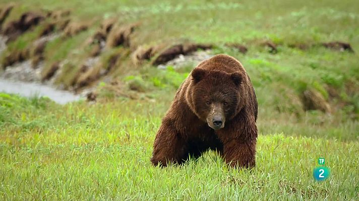 Edèn, paradisos remots: Alaska, l'última frontera americana