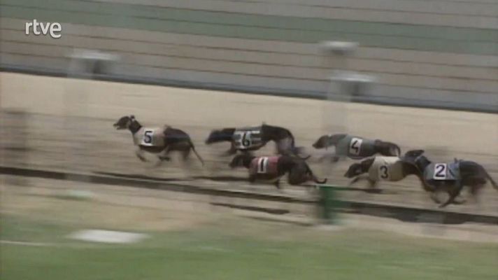 Giravolt (1994-1997) - Les apostes dels pobres