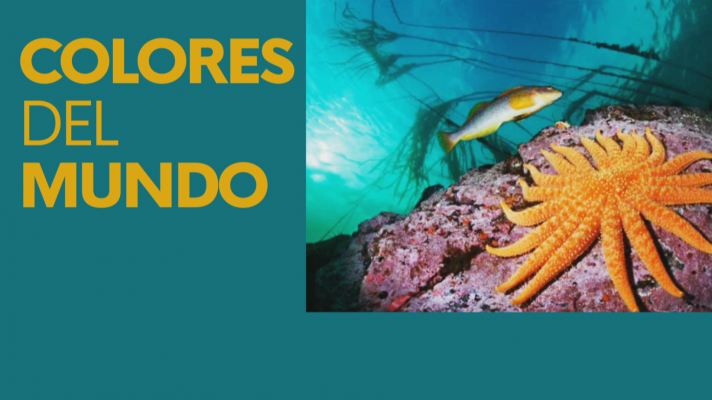 Noticias Andalucía - "Colores del mundo" de National Geographic