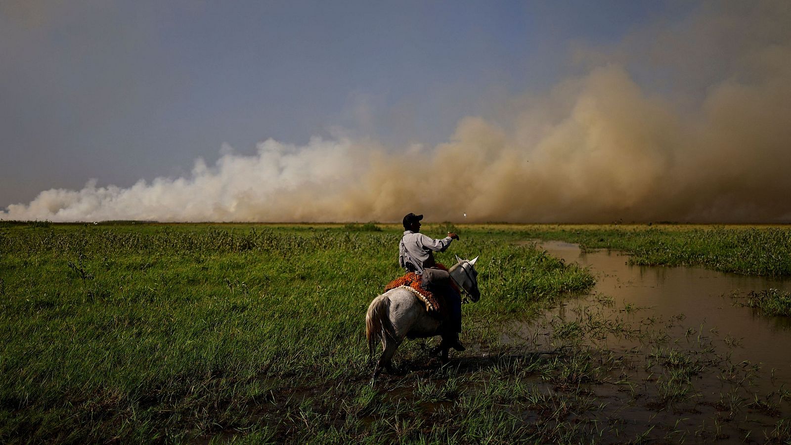 El Pantanal en peligro por los incendios al sur de Brasil