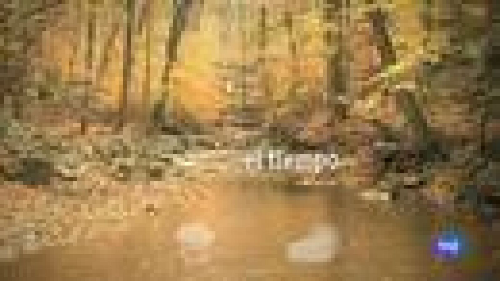 Vientos muy fuertes en Galicia y área cantábrica - El tiempo | Ver