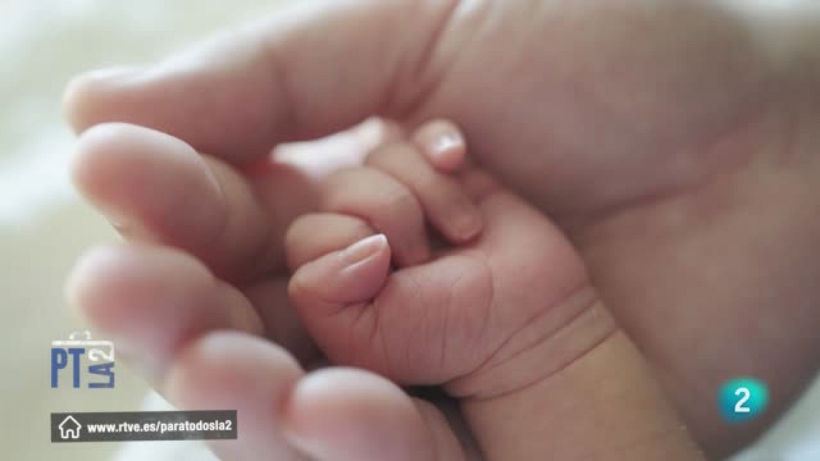 Entrevista a Miriam Aguilar - Para todos La 2 | Ver