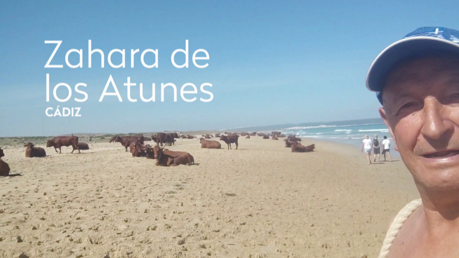 Vicente - Cuidemos la naturaleza | Ver