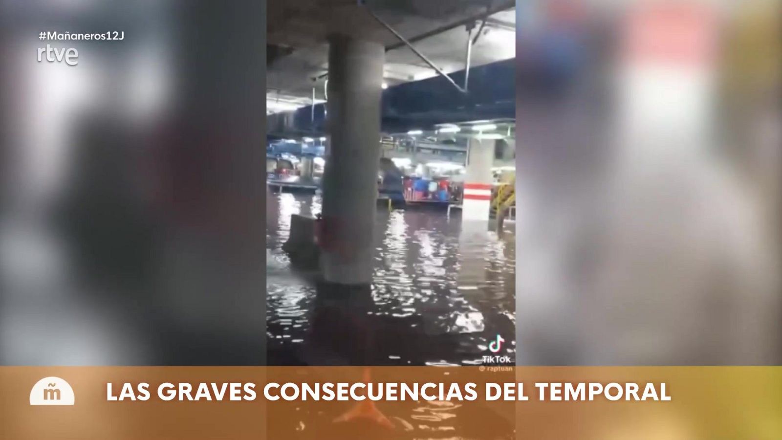 Mañaneros - Programa 191 - ver ahora