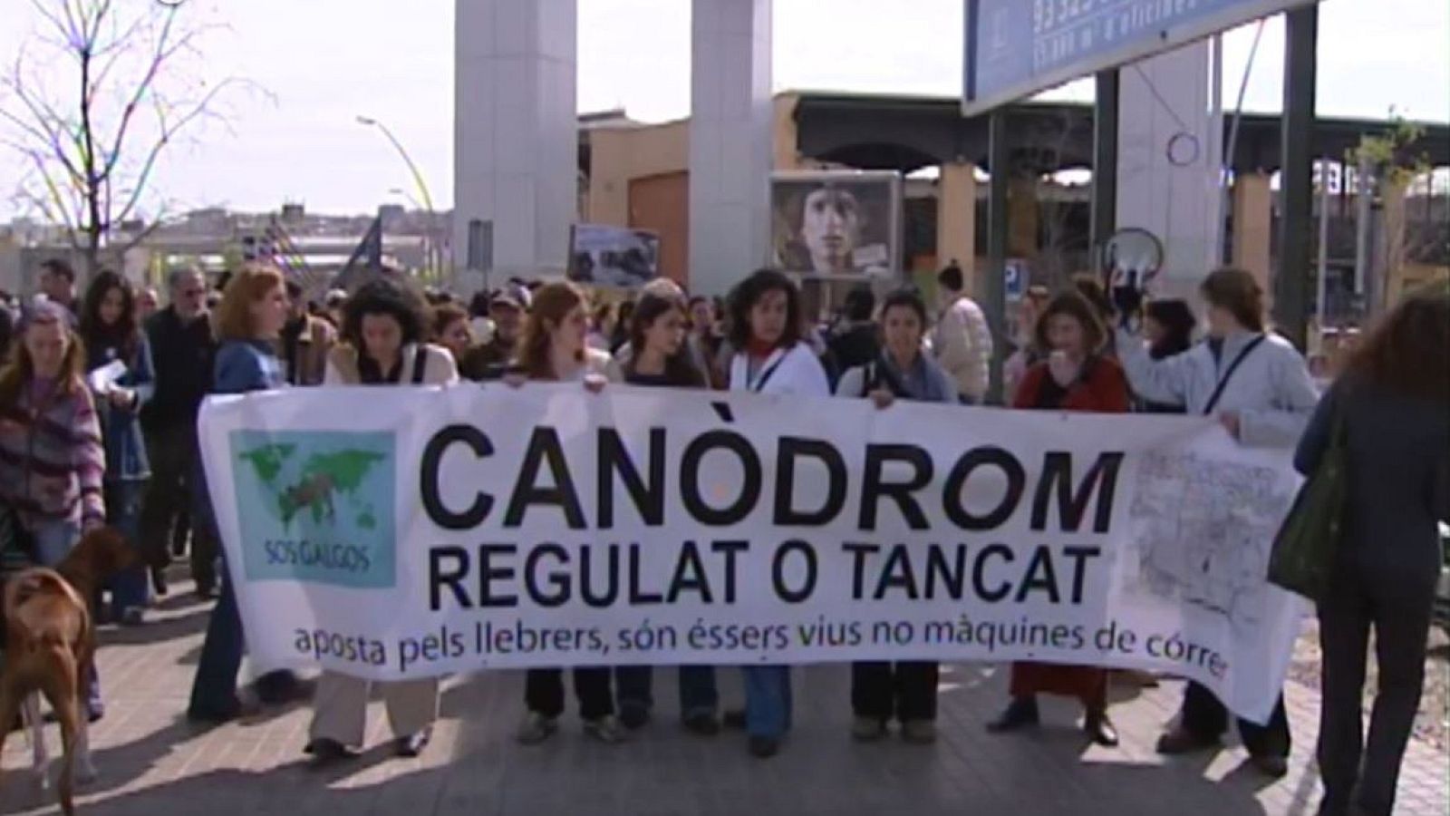 Manifestació pel maltracte als llebrers del canòdrom - arxiu - L'Informatiu | Veure