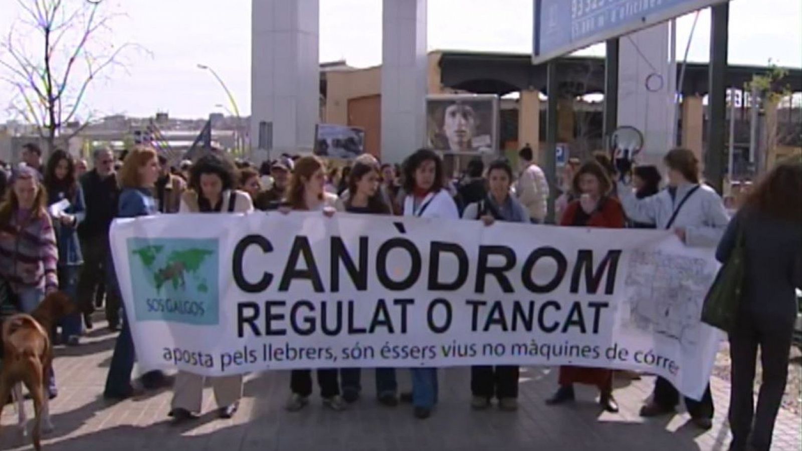 Arxiu TVE Catalunya - L'Informatiu - Manifestació pel maltracte als llebrers del canòdrom