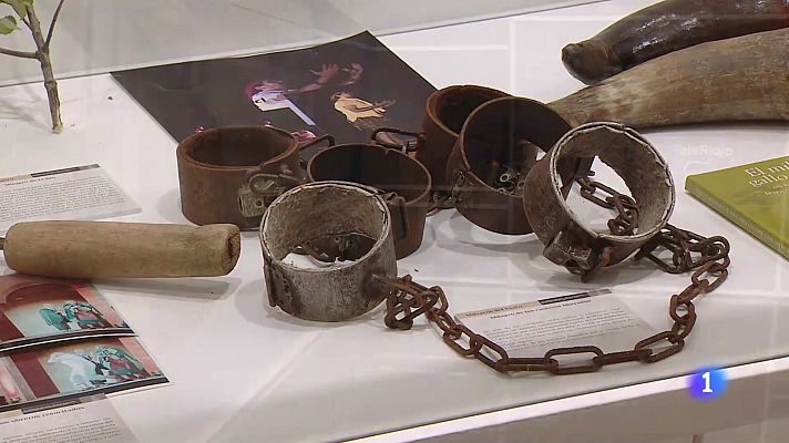 Informativo Telerioja - Informativo Telerioja 2 - 12-05-2024