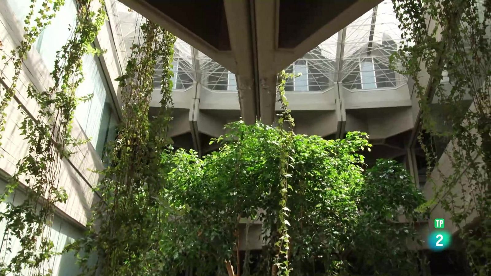 José Miguel Viñas en el programa 5000 | Ver