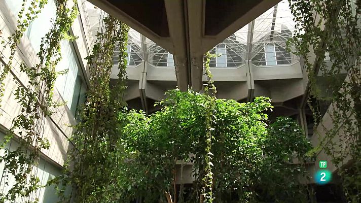 La aventura del Saber - José Miguel Viñas en el programa 5000