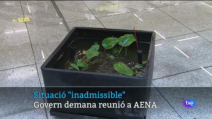 Informatiu Balear - Informatiu Balear en 2' - 13/06/24