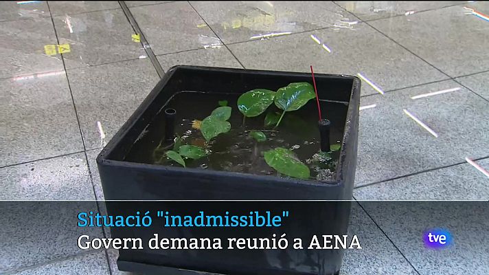 Informatiu Balear - Informatiu Balear 2 - 13/06/24