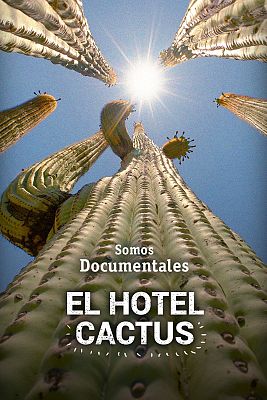 El Hotel Cactus