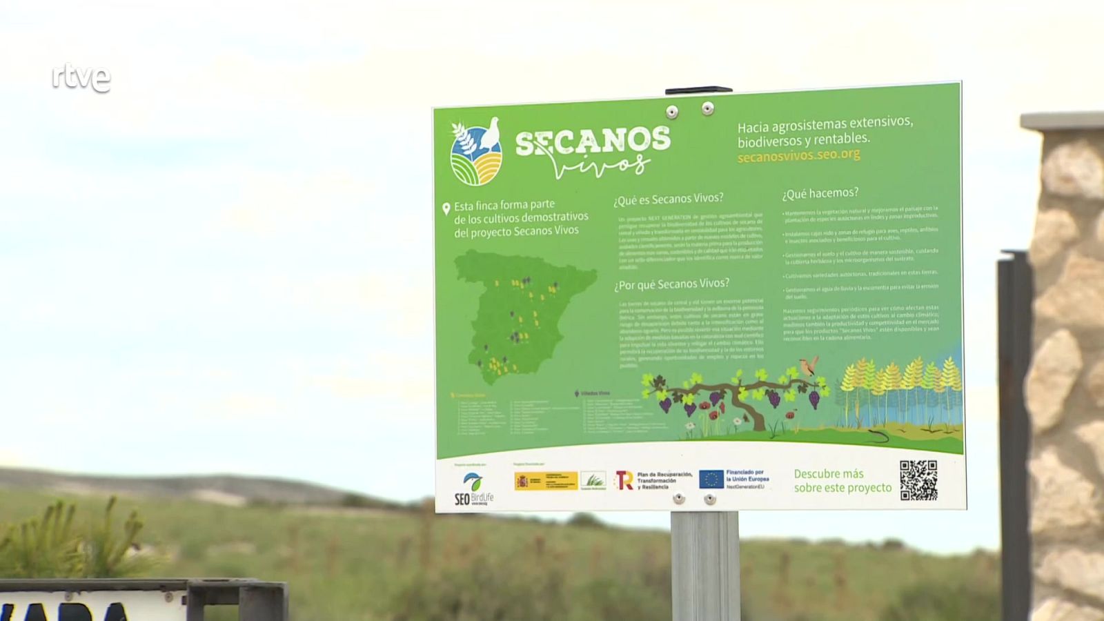 Agrosfera - 15/06/24 - ver ahora