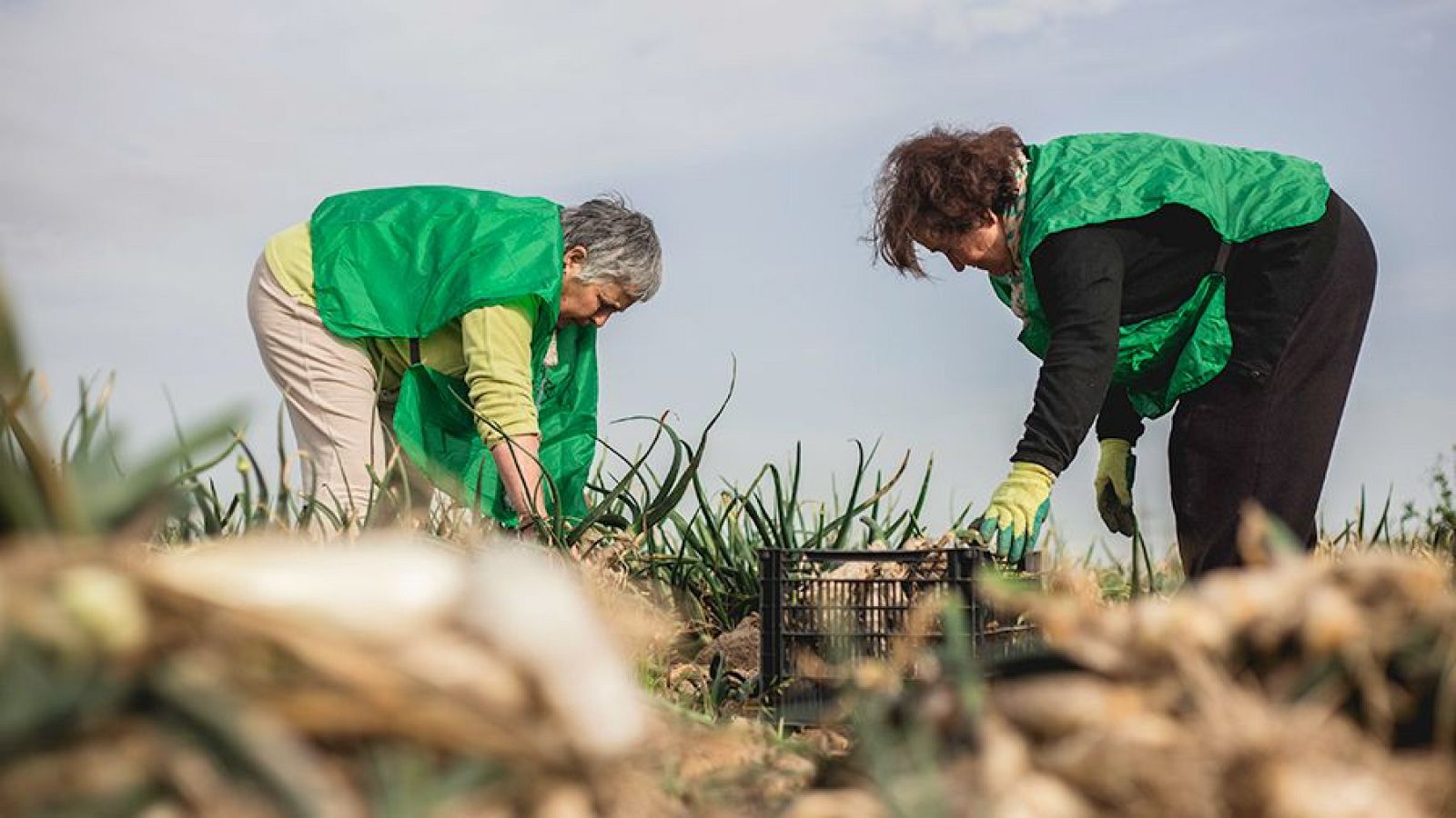 Para todos La 2 - 15/06/24 - ver ahora