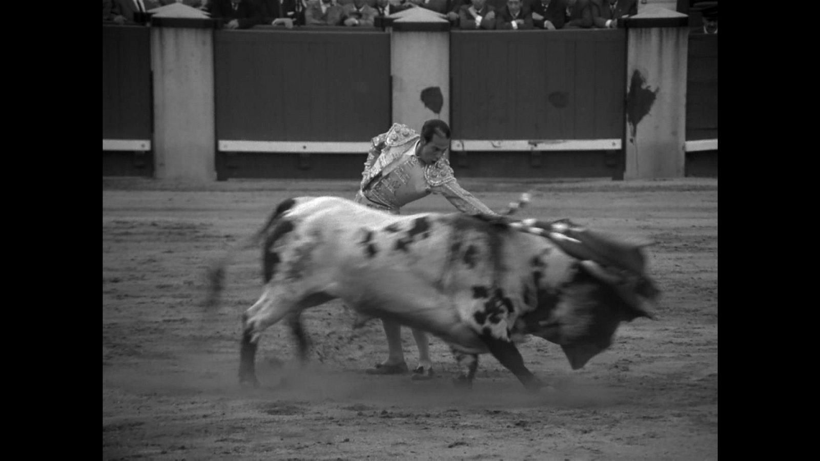 Tendido Cero - 15/06/24