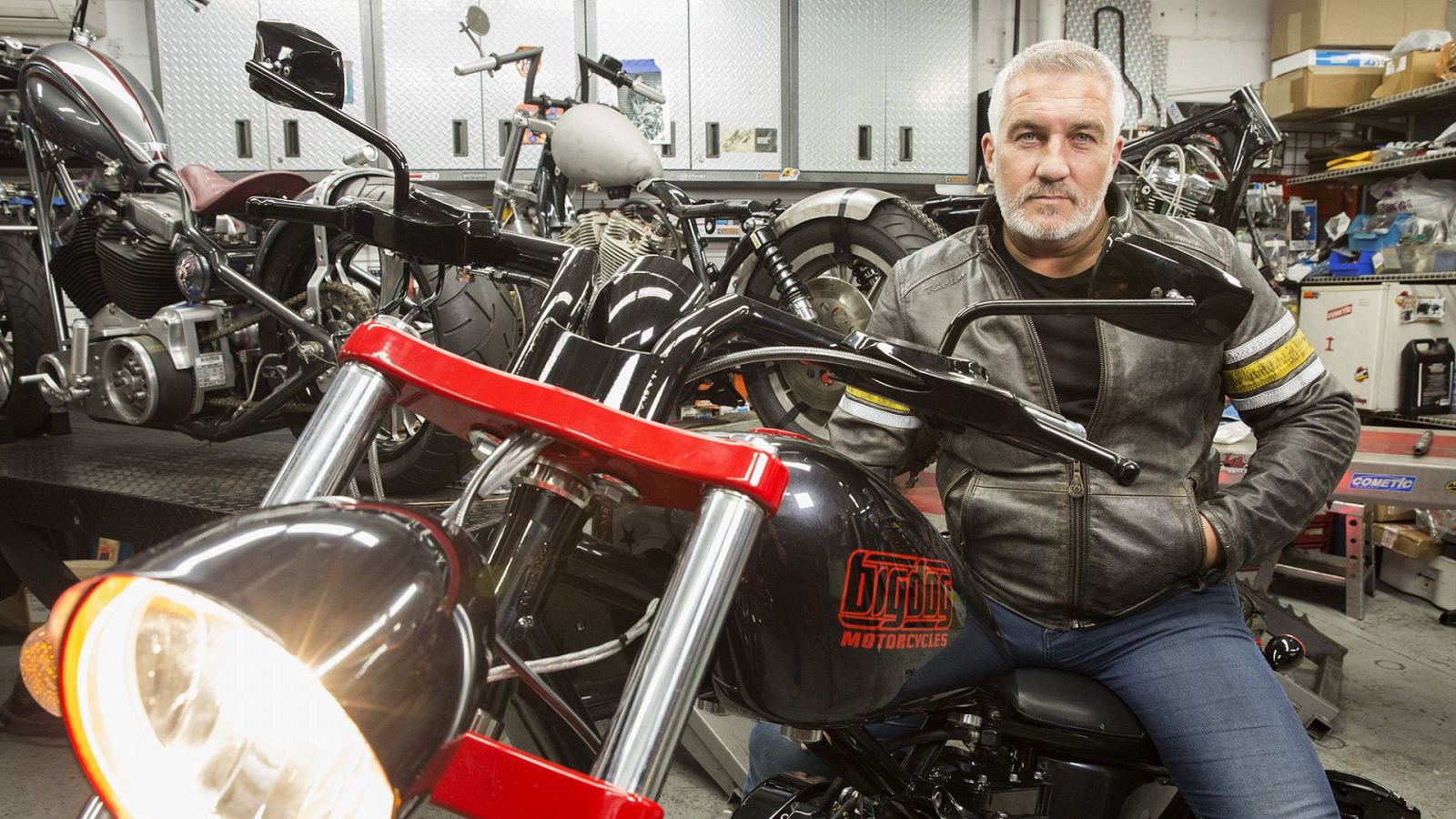 Paul va a Hollywood - El sur profundo - ver ahora