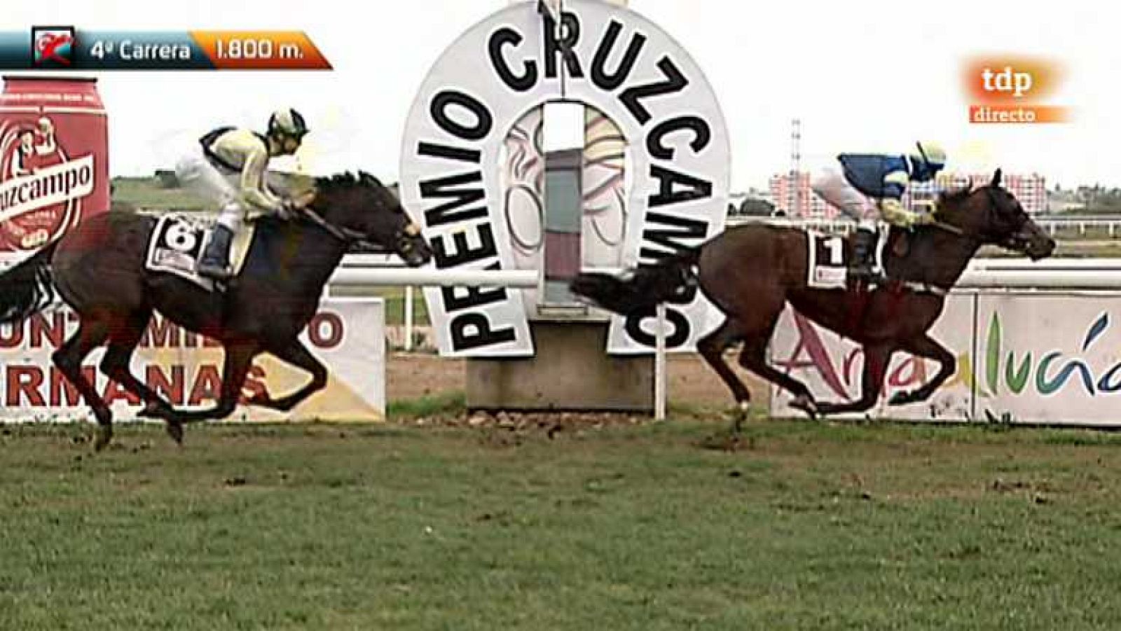 Turf - 16/12/12 - Ver ahora