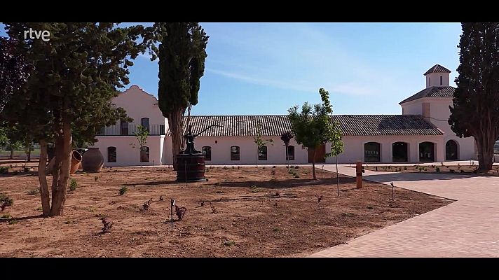 Zoom Tendencias - Valencia mar adentro