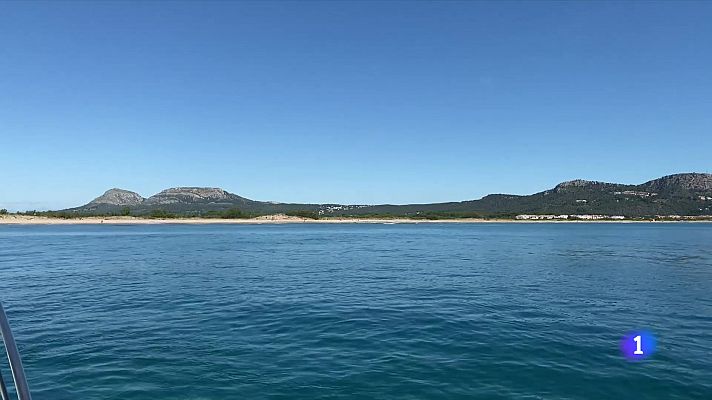 L'Informatiu - Netejant el fons marí a Torroella de Montgrí i l'Estartit