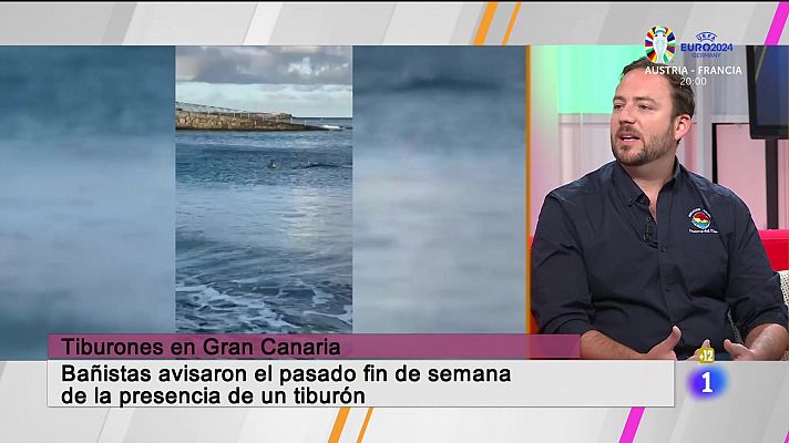 Cerca de ti - Cerca de ti - 17/06/2024