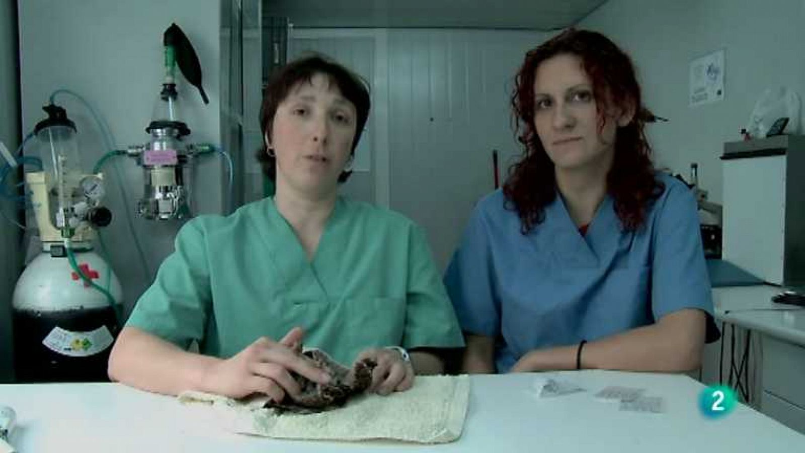 Biodiario - 16/12/12  - Ver ahora