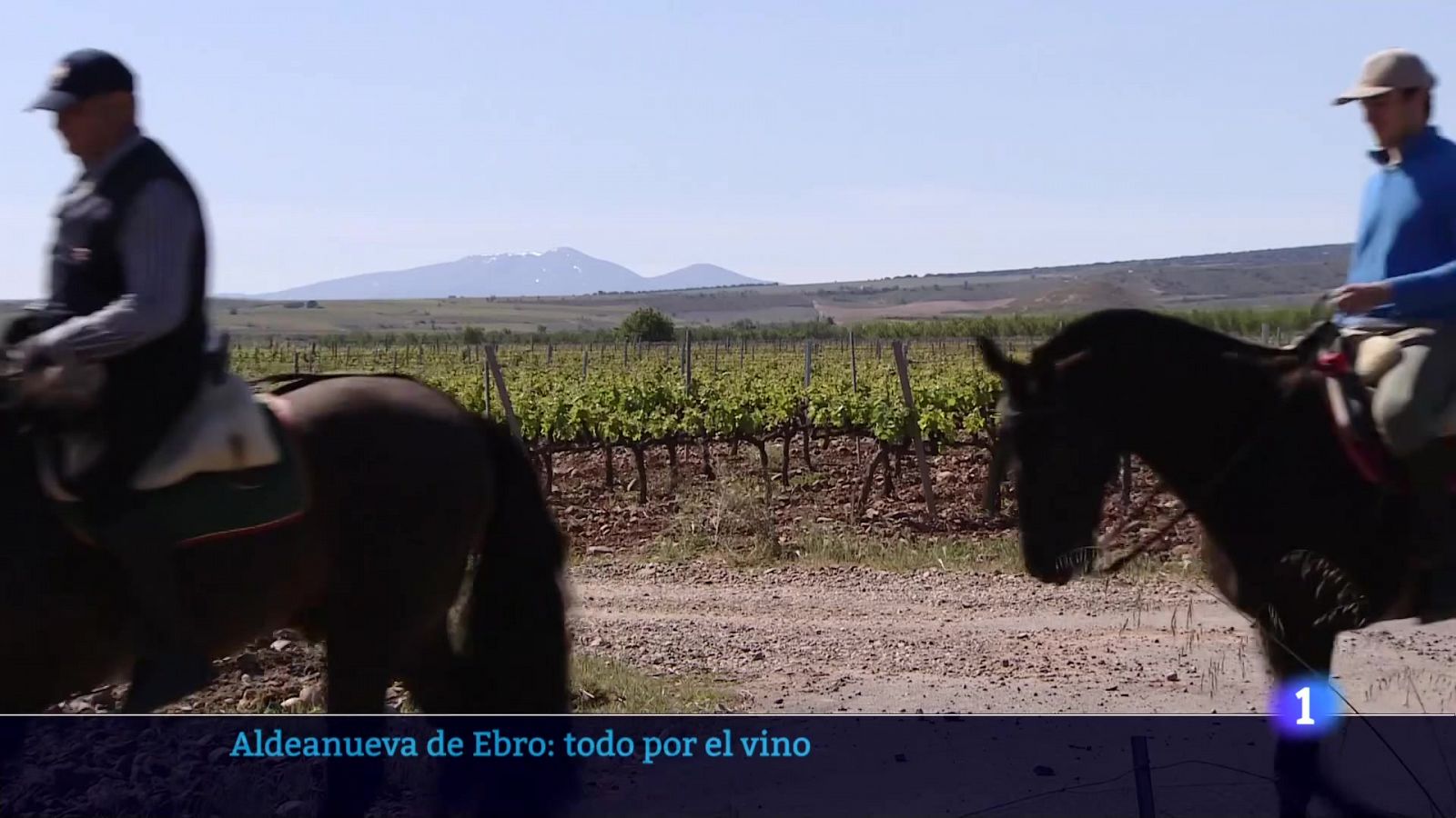 Informativo Telerioja 2 - 17-06-2024 | Ver