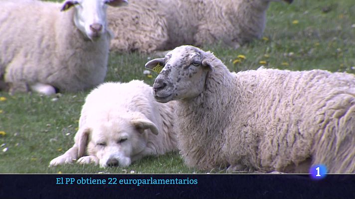 Informativo Telerioja - Informativo Telerioja 2 - 18-06-2024