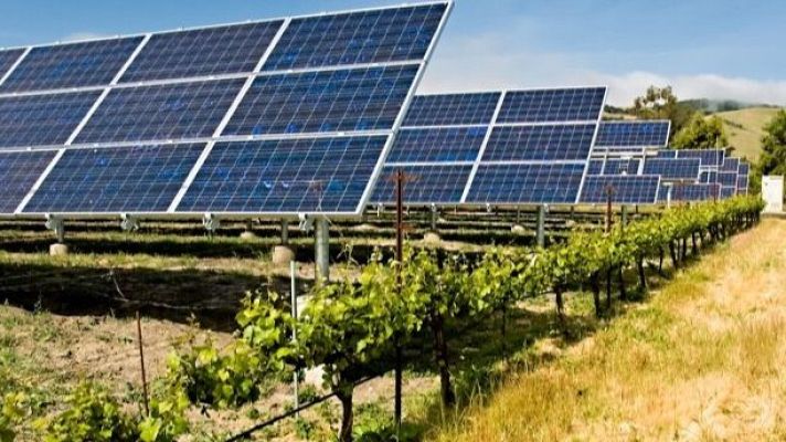 Para todos La 2 - Los paneles solares elevados benefician a cultivos y ganados