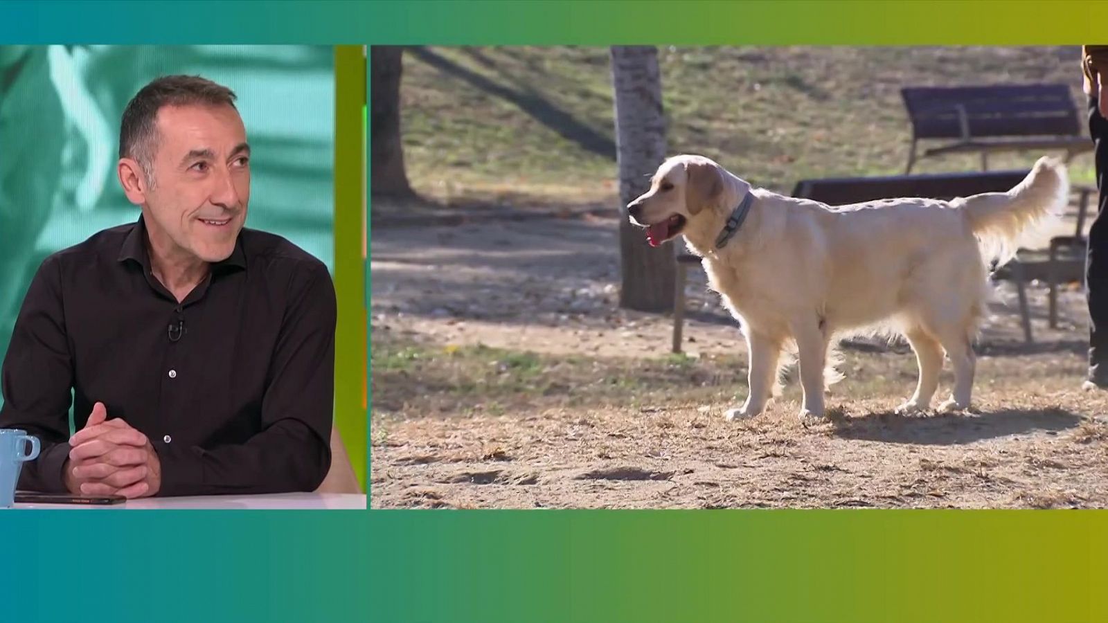 Clonar la teva mascota per 50.000 euros | L'altaveu - L'altaveu | Veure