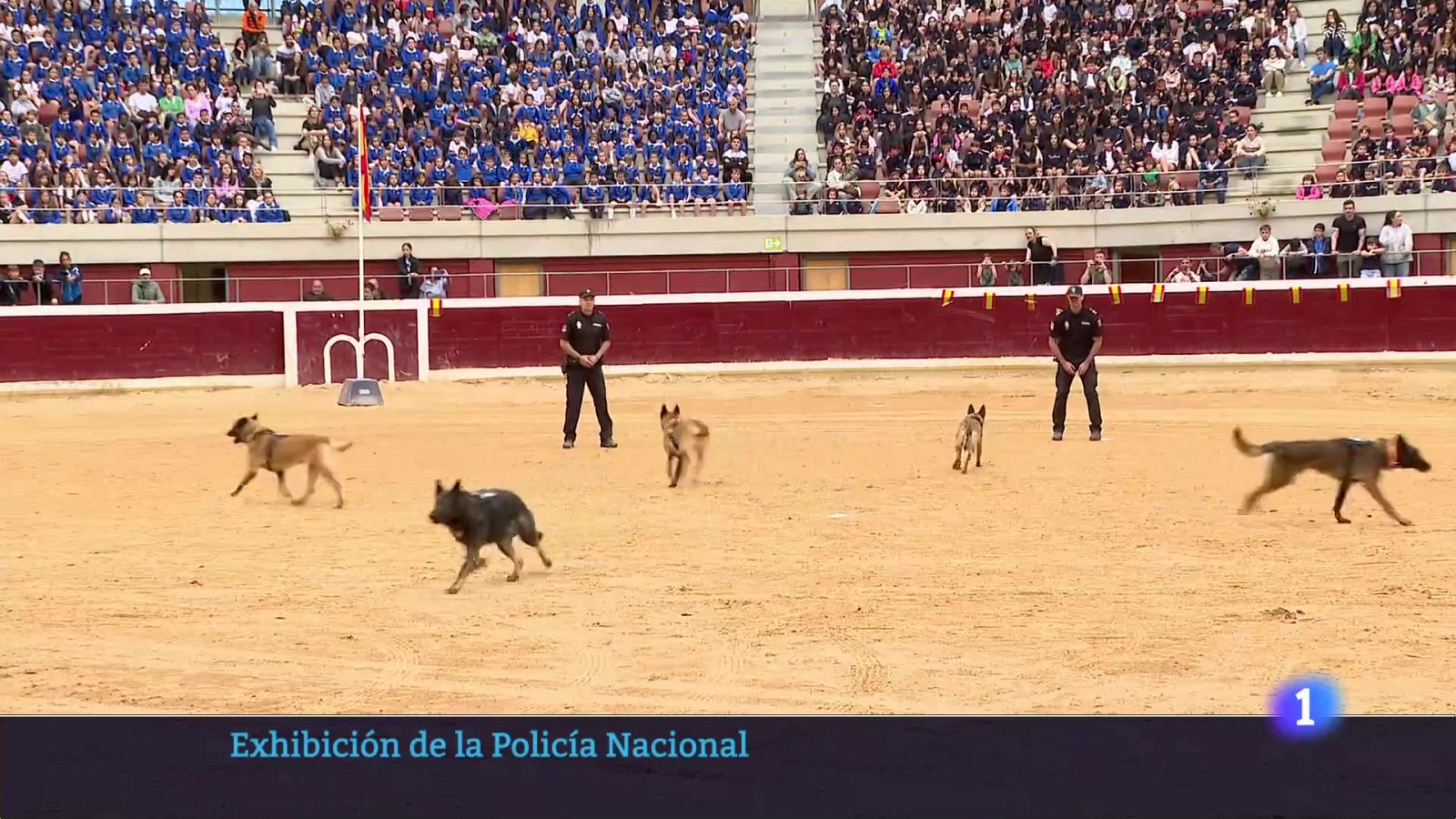 Informativo Telerioja - Programa de actualidad en RTVE Play