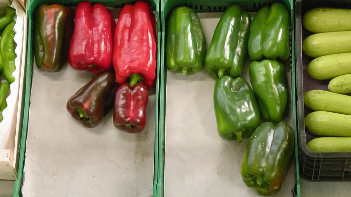 Ahora o nunca - Programa 359