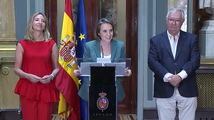 Informativo 24h - Informativo 24 horas - 14h - 21/06/24