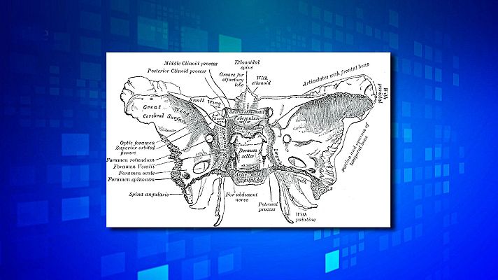 Saber y ganar - Saber y ganar. Edición de fin de semana - 23/04/24