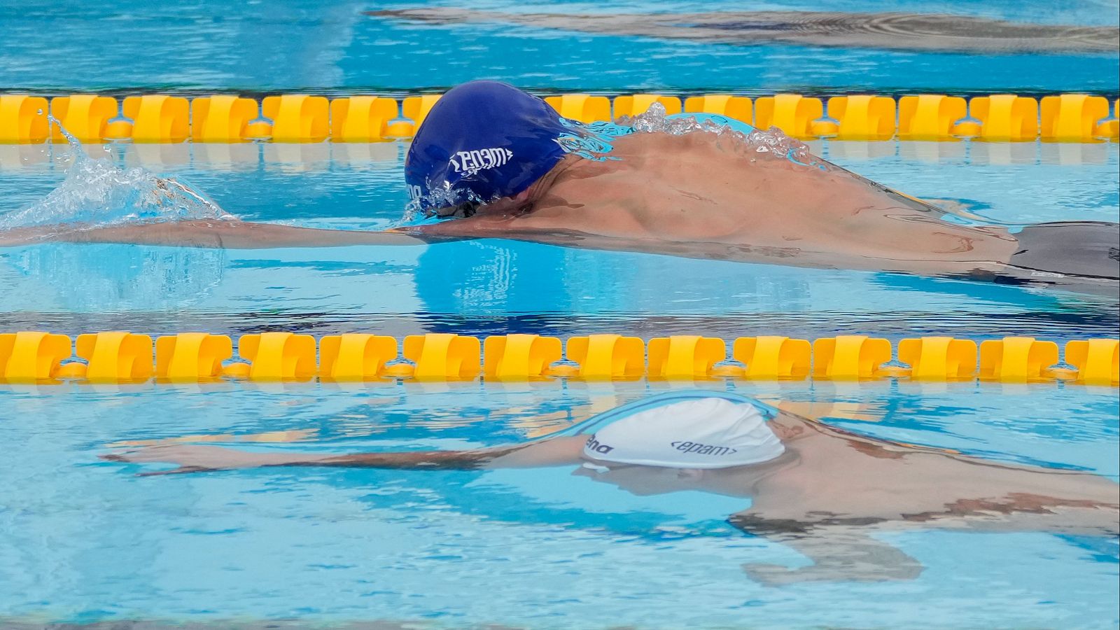 Natación - Campeonato de Europa. Sesión vespertina. Finales - 23/06/24