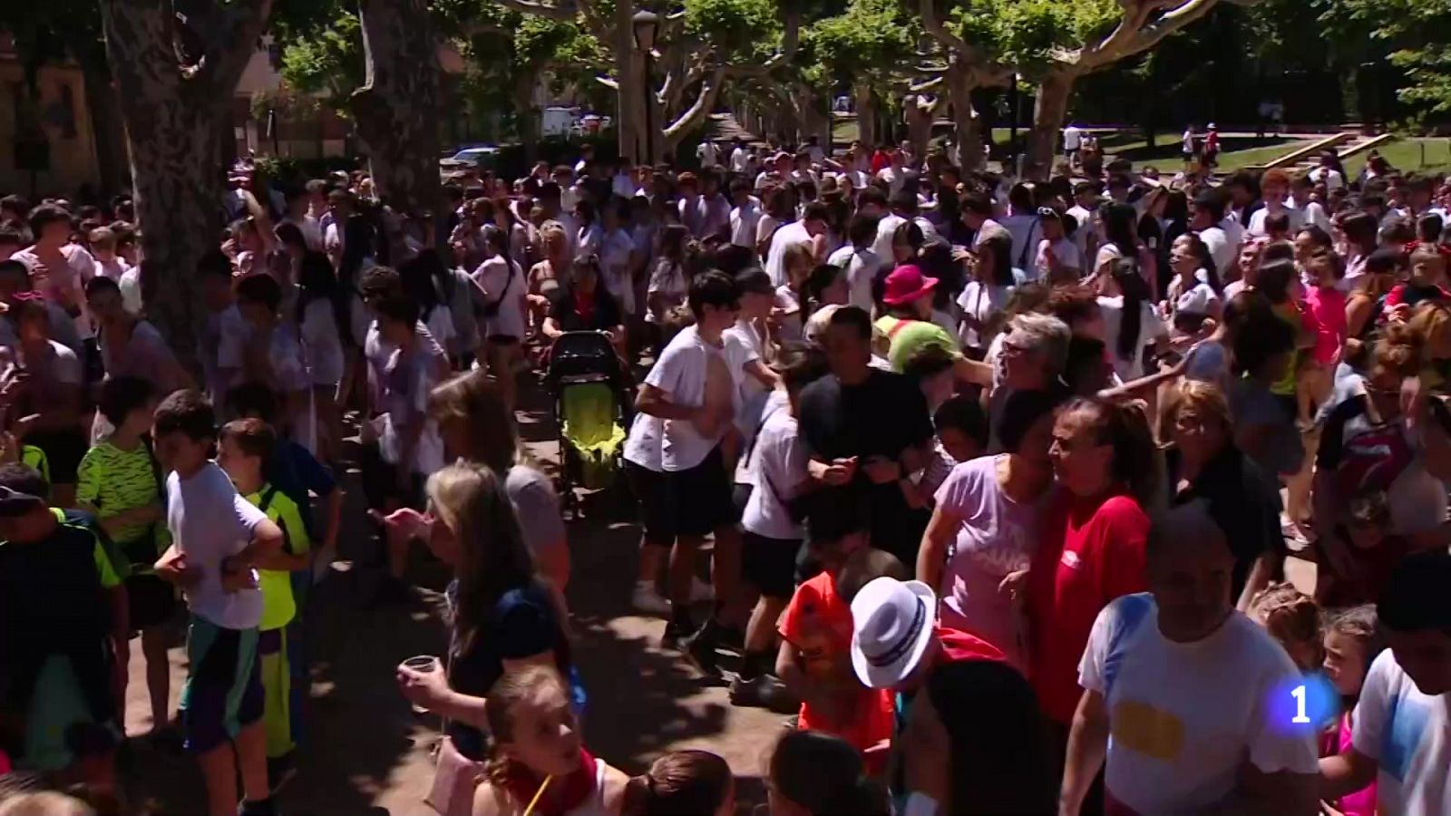 Informativo Telerioja 2 - 24-06-2024 | Ver