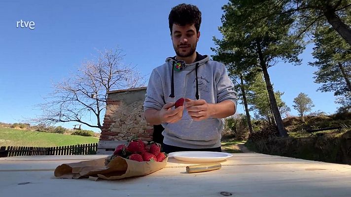 Va de verd - Maduixeres